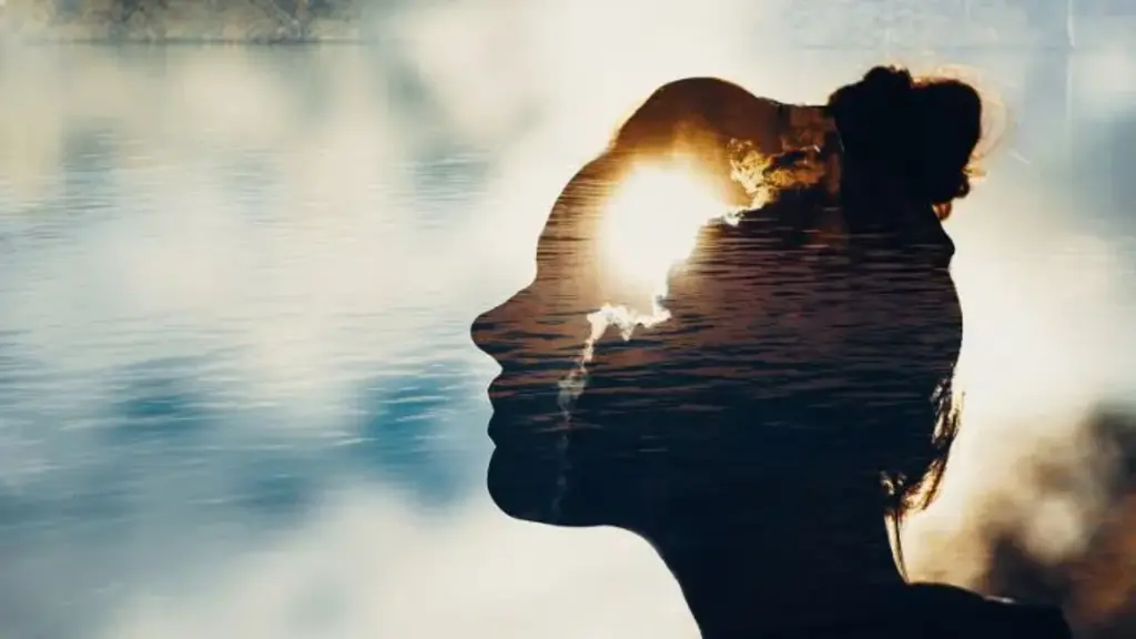 a silhouette of a woman's face and water